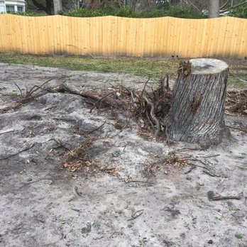Cape Fear Tree Service - This is what was left in my yard!!! - Tree Services Near Me - Wilmington, North Carolina Cape Fear Tree Service - This is what was left in my yard!!! - Tree Services Near Me - Wilmington, North Carolina