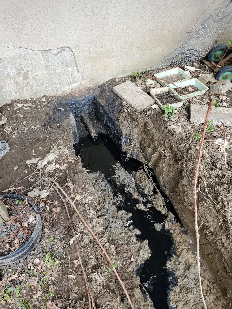 Slide of Rapid Rooter