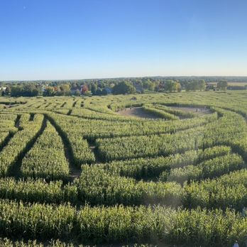 Richardson Farms - Corn Maze 2022 - Christmas Trees Near Me - Spring Grove, Illinois