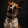 Photo of Tony Simons Imagery