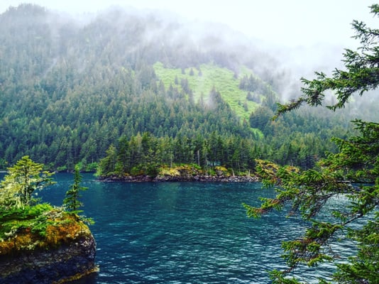 Orca Island Cabins by null