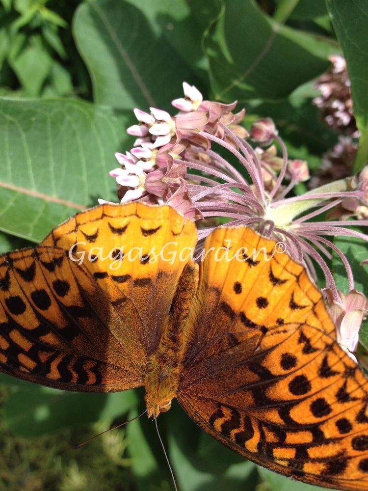 RAMSEY LAKE STATE PARK Updated September 2024 RR 1, Ramsey