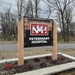 Sign Professionals - Raised letter dimensional sign and installation for a vet