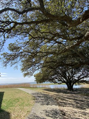 Whalehead Club by null