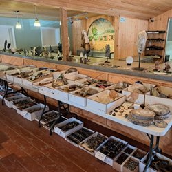 Crystal Cove Estate Sales & Liquidation