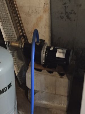 Quality Plumbing & Drain Care Logo