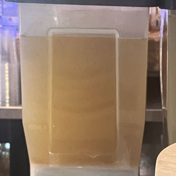 Agave Mexican Grill - dead bugs in margarita - Mexican Near Me - Port Royal, South Carolina