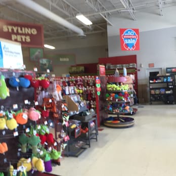 Petco - Avon Petco -- 20 Stockwell Drive, Avon            Interior - Pet Training Near Me - Avon, Massachusetts