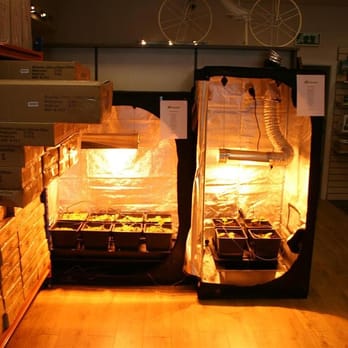 Bloom & Grow - Grow lights - Nurseries & Gardening Near Me - Dublin, D