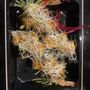 Photo of Koi House