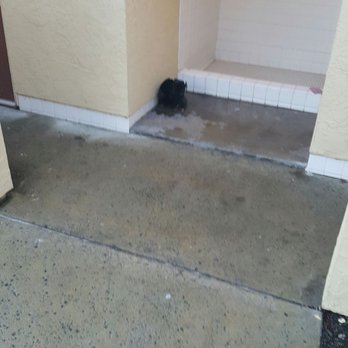 Olive Avenue Apartments - What a mess ....beware - Apartments Near Me - Lemon Grove, California
