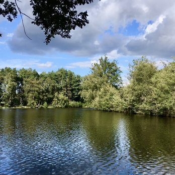 Bagshot Heath - Rapley Lake - Parks Near Me - Bagshot, SRY