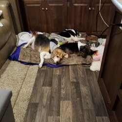 Manalapan Animal Clinic & Hospital