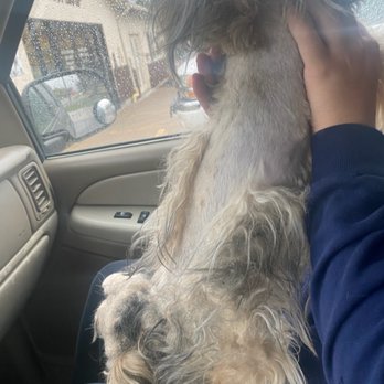 Little Dog House - (The pups back) - Pet Sitting Near Me - Ogden, Utah Little Dog House - (The pups back) - Pet Sitting Near Me - Ogden, Utah