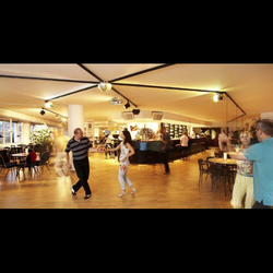 Tanzschule Niki Seifert - Tanzschule Niki Seifert - Tanzlokal mit Tänzer