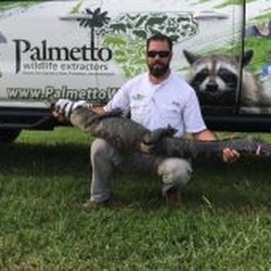 Palmetto Wildlife Extractors