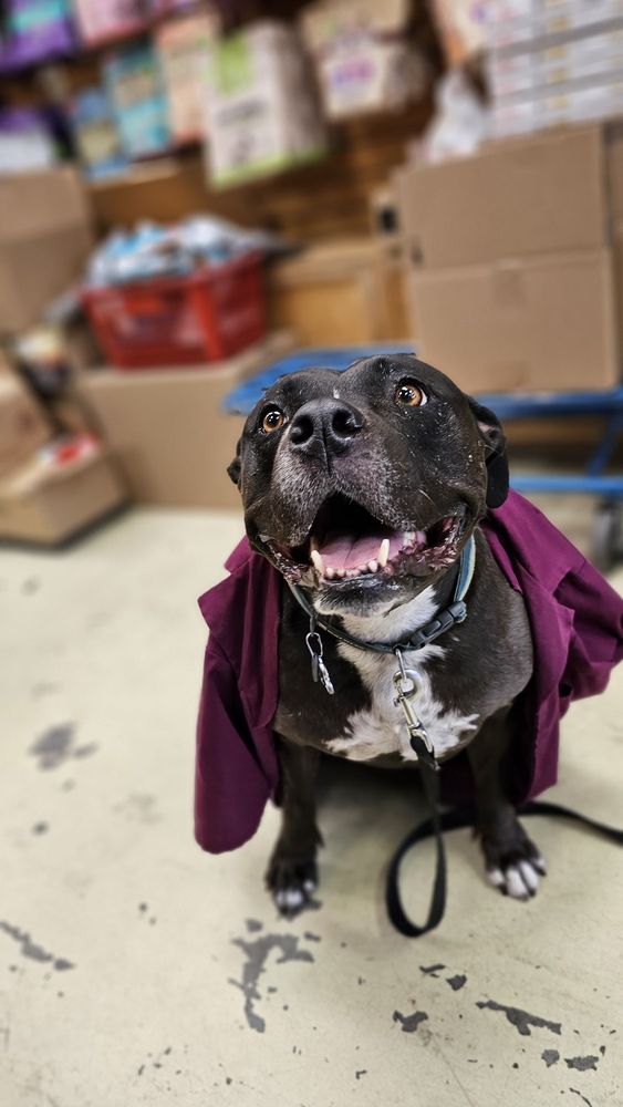 PETVET PETFOOD Updated October 2024 40 Photos & 254 Reviews 4814