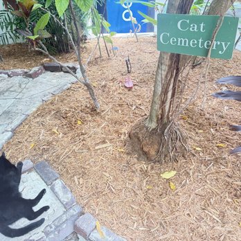 Ernest Hemingway Home - Cat cemetery - Museums Near Me - Key West, Florida Ernest Hemingway Home - Cat cemetery - Museums Near Me - Key West, Florida
