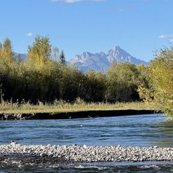 Black Dog Rafting Company