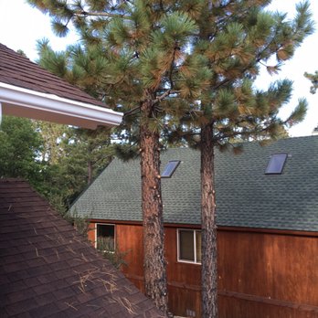Poseidon Valley Tree Service - Made my yard look terrific ! - Tree Services Near Me - Running Springs, California Poseidon Valley Tree Service - Made my yard look terrific ! - Tree Services Near Me - Running Springs, California