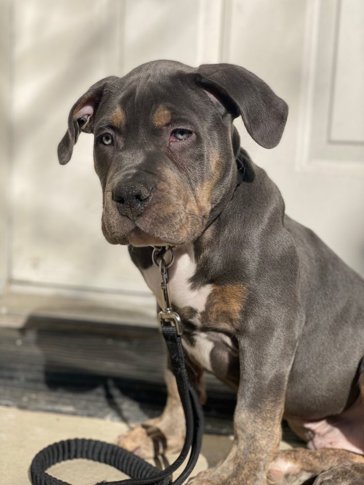 FITZGERALD VETERINARY Updated September 2024 10 Photos & 14 Reviews