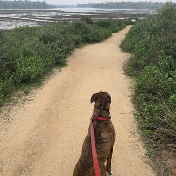Upper Newport Wilderness Preserve - Hiking Near Me - Costa Mesa, California