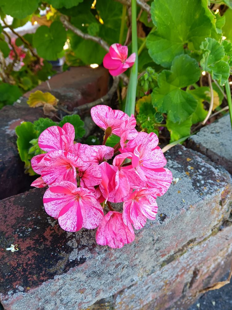 Gateway Sober Living Environment - grief counselor in San Francisco, CA