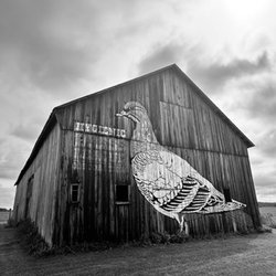 Art in the Public Realm: Rural Edition