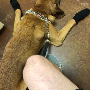 Affinity Retreat - Pet Groomers Near Me - Hattiesburg, Mississippi