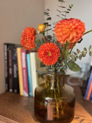 Santa Canela by null