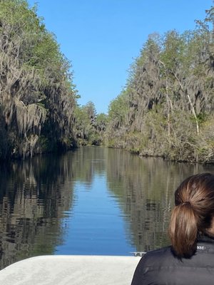 Okefenokee Swamp Park by null
