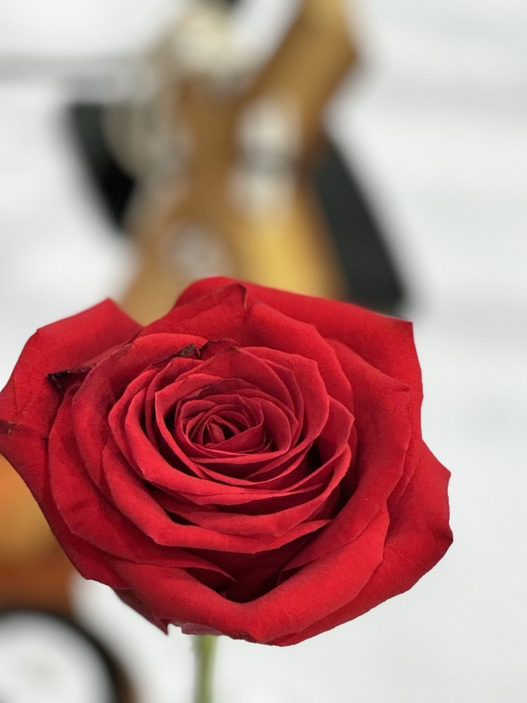 Retrouvaille of Metro Detroit - grief counselor in Sterling Heights, MI