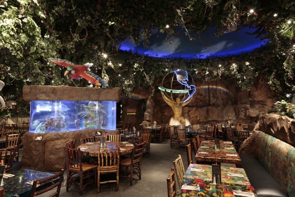 Rainforest Cafe by null