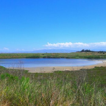 Adobe Creek Loop Trail - Hiking Near Me - Palo Alto, California