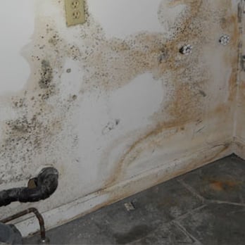 Funkhouser Restoration - We remediate mold - Carpet Cleaning Near Me - Morgantown, Indiana Funkhouser Restoration - We remediate mold - Carpet Cleaning Near Me - Morgantown, Indiana