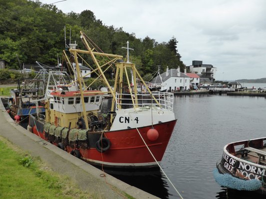 Crinan Coffee Shop by null