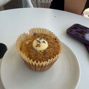 Grove Surf Cafe - Coffee & Tea Near Me - Indian Rocks Beach, Florida
