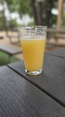 Rock House Bar and Trailer Park by null