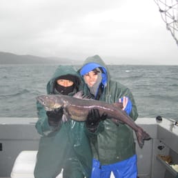 Black Cod Black Cod