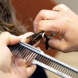 Great Clips