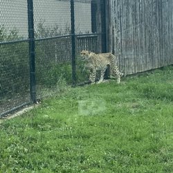 Zoo Gage Park