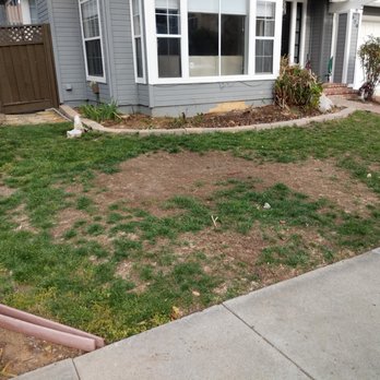 Reyes Projects - Before: bald spots in sod - Landscaping Near Me