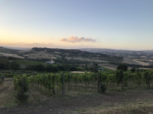 Altarocca Wine Resort by null