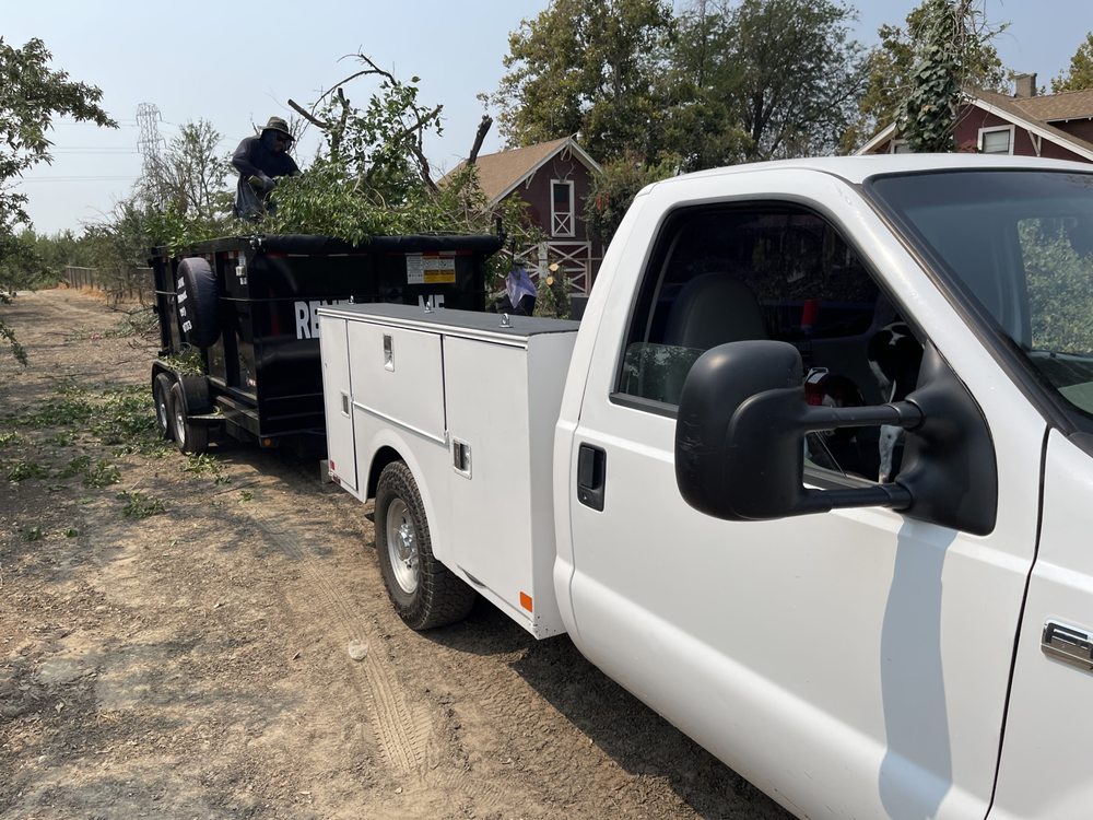 ONCALL DUMPSTERS Updated June 2024 15 Photos 1800 Fir Ln, Ceres, California Dumpster