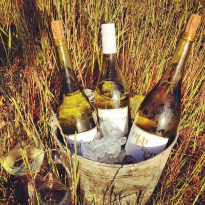 Stolpman Vineyards - Los Olivos Tasting Room by null