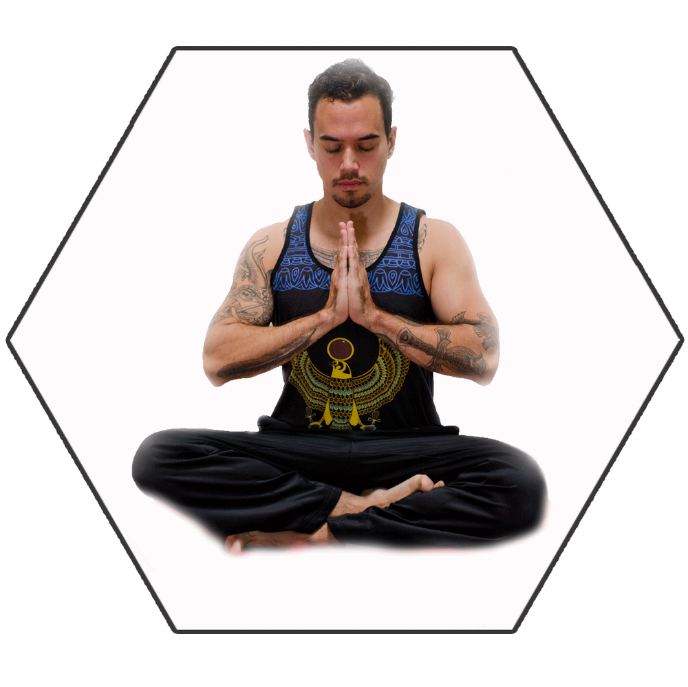 Precious Life Wellness Logo
