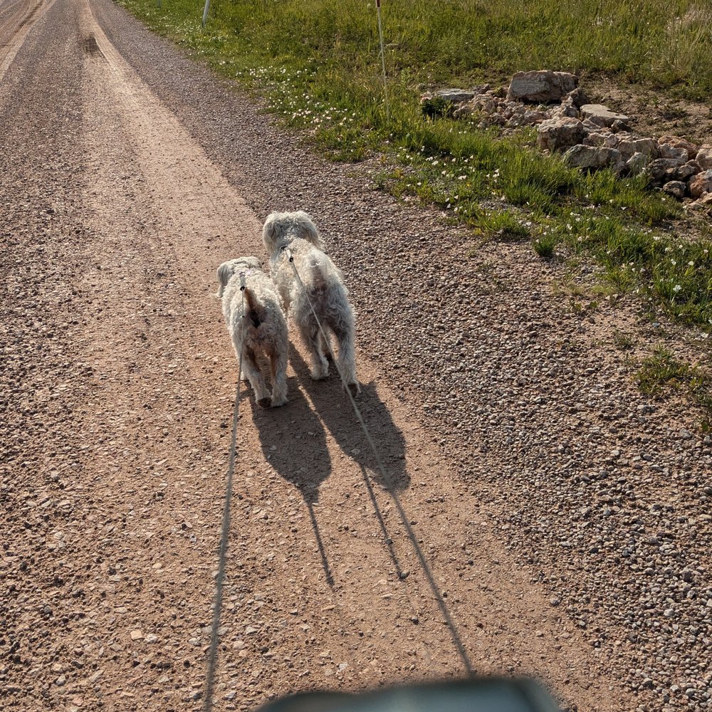 Three Flags Rv Park - Good dog walking areas - Parks Near Me - Black Hawk, South Dakota Three Flags Rv Park - Good dog walking areas - Parks Near Me - Black Hawk, South Dakota