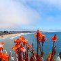 Photo of Julie Walker  - Central Coast Realty Group