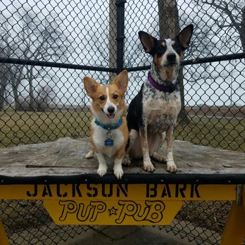 Jackson Bark - Pup pub - Dog Parks Near Me - Chicago, Illinois