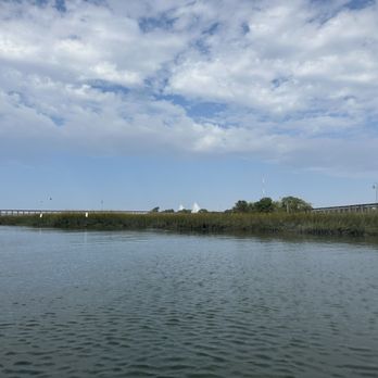 Coastal Expeditions - View alone the way - Tours Near Me - Mount Pleasant, South Carolina